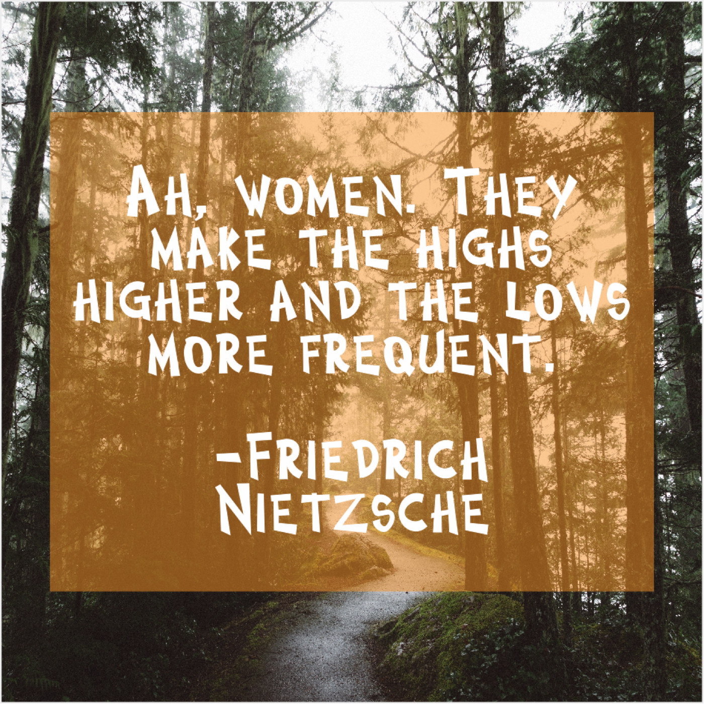 Friedrich Nietzsche Ah Women They Make The Famous Quotes That